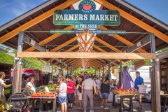 farmers_market_the-shed